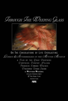 Through the Weeping Glass: On the Consolations of Life Everlasting online kostenlos