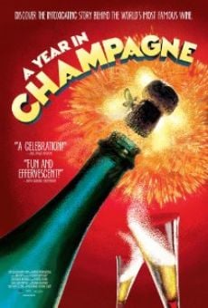 Ver película A Year in Champagne