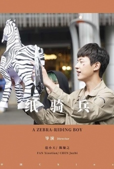A Zebra-Riding Boy