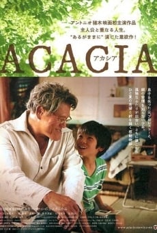 Ver película Acacia