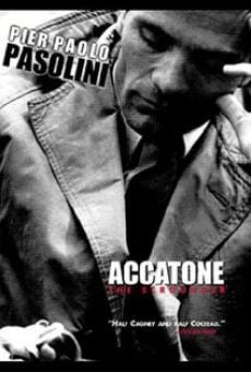 Accattone, un muchacho de Roma online