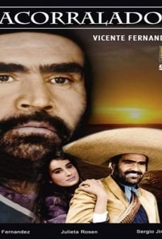 Acorralado online streaming