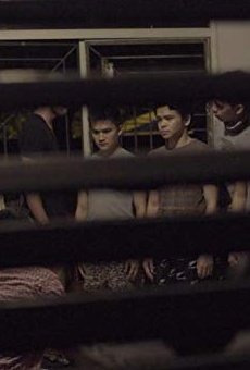 Películas de Abner Delina