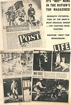 Películas de Ace the Wonder Dog Películas de Ace the Wonder Dog