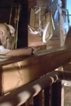 Películas de Adriana Brodsky