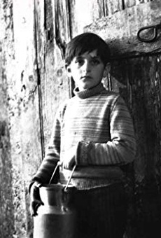 Películas de Alain Cohen