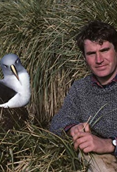 Películas de Alastair Fothergill