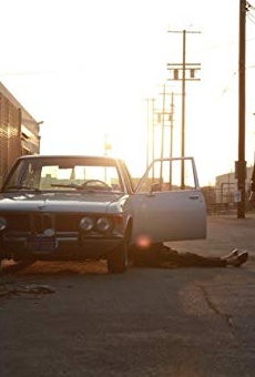 Películas de Alev Aydin