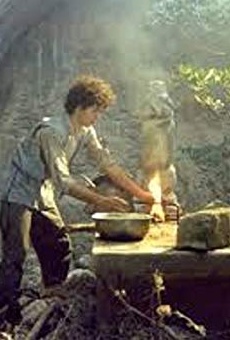 Películas de Alkis Kourkoulos