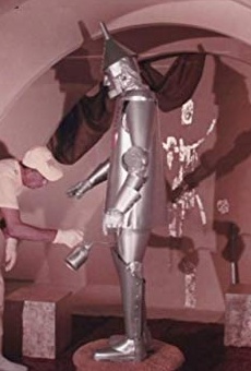 Películas de Allen Joseph