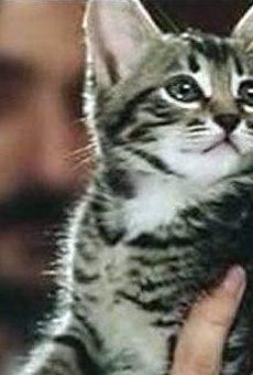 Películas de Andrei Kuznetsov