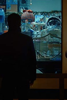 Películas de Andrei Seusan