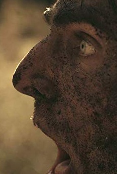 Películas de Andrew Harwood Mills