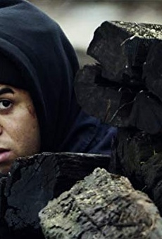 Películas de Andrew Shim