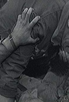 Películas de Andrey Martynov