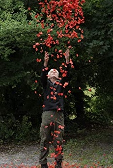 Películas de Andy Goldsworthy