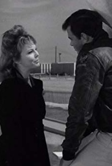 Películas de Anne Helm