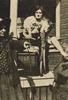 Películas de Anne Schaefer Películas de Anne Schaefer