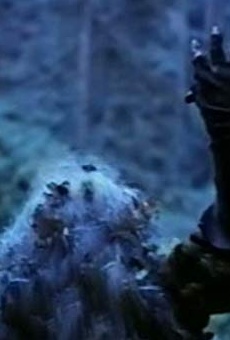 Películas de Anthony Maccario Películas de Anthony Maccario