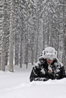 Películas de Anthony O'Brien Películas de Anthony O'Brien