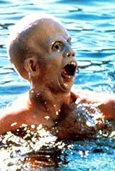 Películas de Ari Lehman