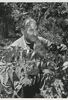 Películas de Arnold Diamond