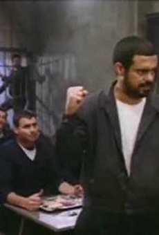 Películas de Arnon Zadok