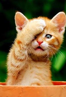 Películas de Artin Fallahi