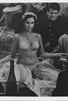 Películas de Ava Zamora