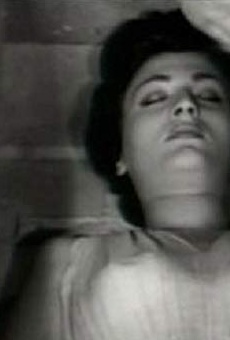 Películas de Ayfer Feray