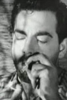 Películas de Ayhan Isik