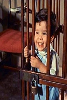 Películas de Baby Gellert