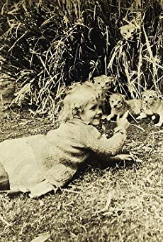 Películas de Baby Lillian Wade