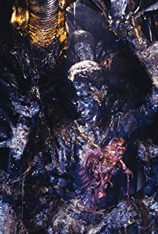 Películas de Barbara Coles