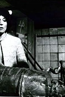 Películas de Barbara Shelley