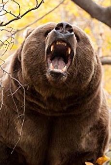 Películas de Barney