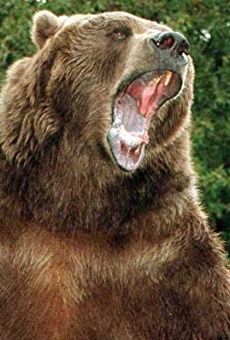 Películas de Bart the Bear