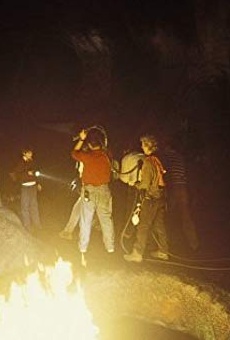 Películas de Ben Thornton