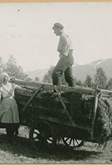 Películas de Bengt Djurberg