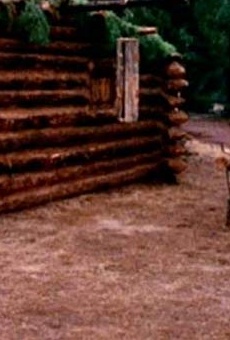 Películas de Betsey