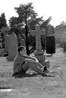 Películas de Bill Switzer