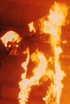 Películas de Billy Wong