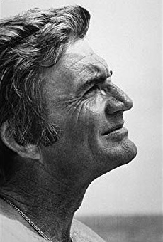 Películas de Blake Edwards