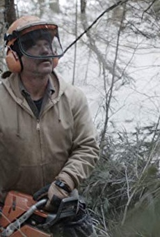 Películas de Bob Tarasuk