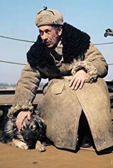 Películas de Boleslaw Plotnicki