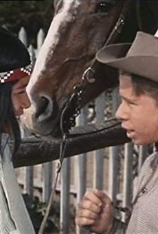 Películas de Brad Morrow