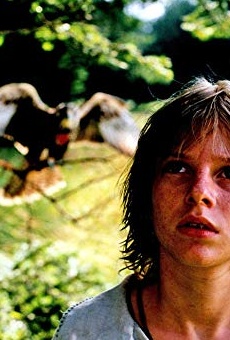 Películas de Brano Holícek