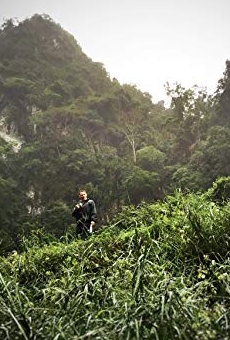 Películas de Brian Avery Galligan