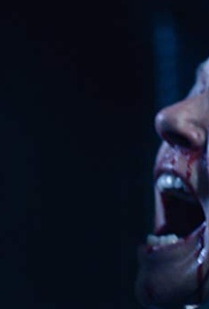 Películas de Brigitte Kren