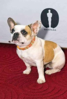 Películas de Brigitte the Dog